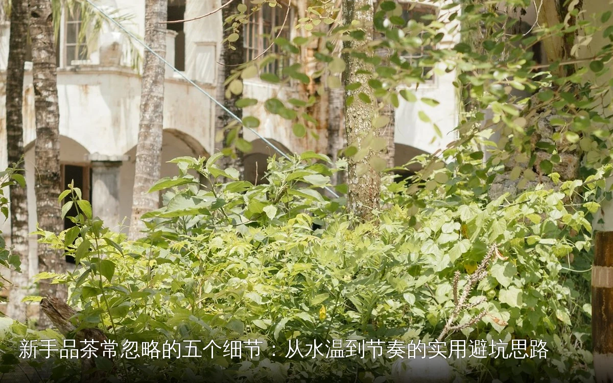 新手品茶常忽略的五个细节:从水温到节奏的实用避坑思路